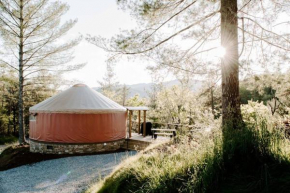 Santeetlah @ Sky Ridge Yurts